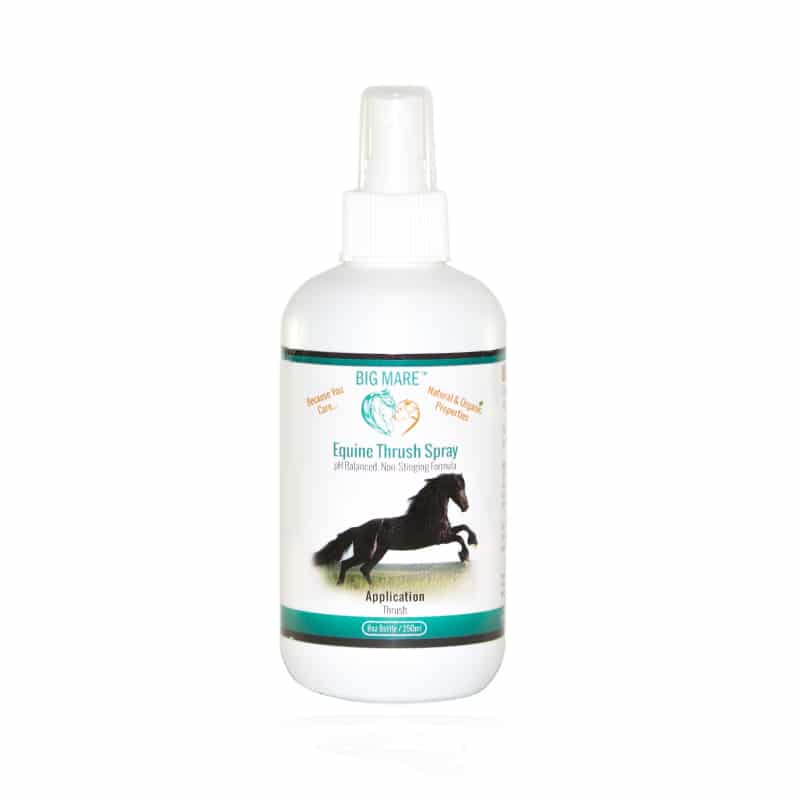 EQUINE 8OZ ANTIBACTERIAL / ANTIFUNGAL THRUSH SPRAY