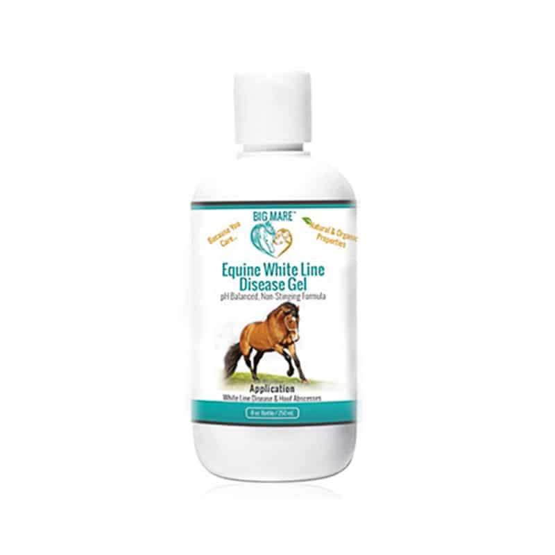 Best Hoof Biotine Horse Master - Biotine cheval - Horse Master - Le Paturon Best Hoof Biotine Horse Master - Biotine cheval - Horse Master - Le Paturon